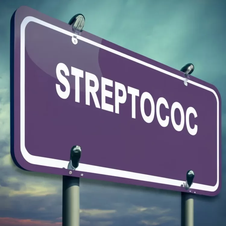 Streptococ beta hemolitic grup A - Streptococcus pyogenes