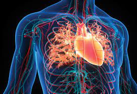 Hipertensiune Pulmonară Tromboembolică Cronică (HTPC) CTEPH