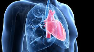 Efectele Hipertensiunii Arteriale asupra Organismului - RMN - Imagistica de inalta performanta pentru tine!