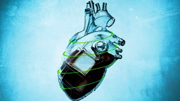 Hipertensiunea și Bolile Cardiace Cresc Riscul Producerii unui Accident Vascular Cerebral?