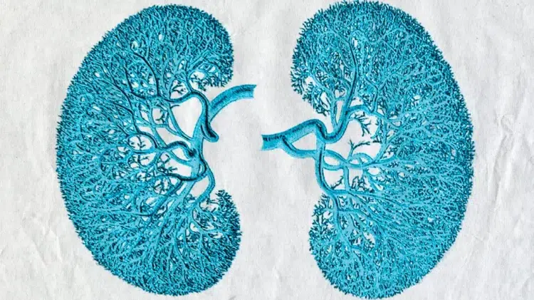 Hipertensiunea și Bolile Renale: 10 Simptome Importante de Urmărit