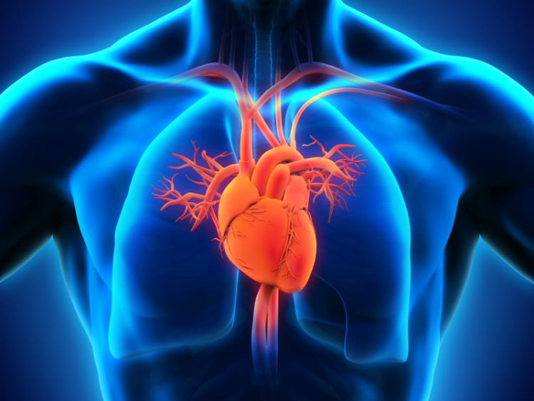 Prevalența Hipertensiunii Arteriale: De Ce Este Această Afecțiune Atât de Frecventă?