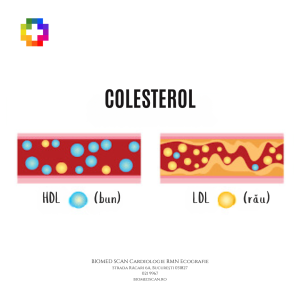 Alimente care scad colesterolul LDL